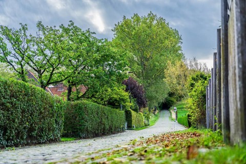 Hill of Koppenberg, Cobblestones at the cycling classic Tour of Flanders, Ardennes, Flanders,