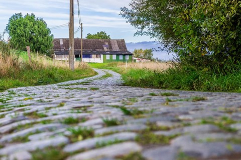 Hill of Oude Kwaramont, Cobblestones at the cycling classic Tour of Flanders, Kluisbergen,