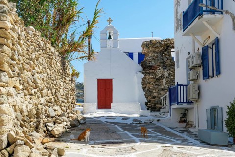 Mykonos, Cyclades, Greece - Cats in old town alleys in front of small chapel, church, in Mykonos
