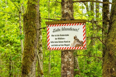 Information sign hanging on a tree trunk for hikers in a forest, Bavaria, Germany