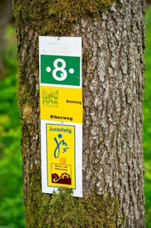 Information sign hanging on a tree trunk for hikers in a forest, Bavaria, Germany