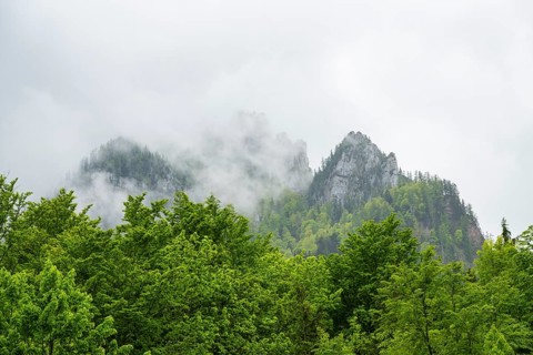 View into the mountains next to Lake Offensee on a rainy day in spring, Salzkammergut, Austria,