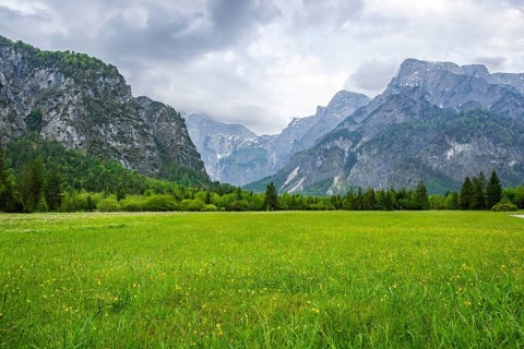 Spring meadow with the Alps in the background on a rainy day, Traunkirchen, Salzkammergut, Austria