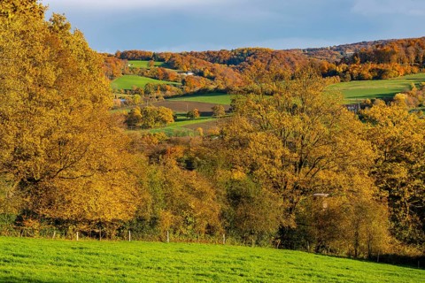 Autumn landscape in Elfringhauser Switzerland, south of Velbert-Langenberg, Germany