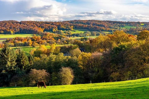 Autumn landscape in Elfringhauser Switzerland, south of Velbert-Langenberg, Viehweide, Germany