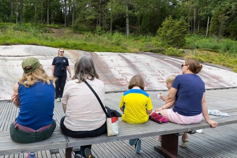 Historic rock carvings in Tanum, here at the Vitlycke site, tourist tour, figurative depiction from
