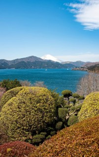 View of Lake Ashi with Mount Fuji volcano, Benten-no-hana Tenbodai viewpoint, Hakone Park, Hakone,