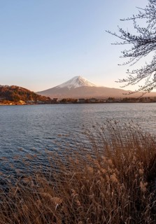 Lake Kawaguchi, view of Mount Fuji volcano at sunset, Yamanashi Prefecture, Japan