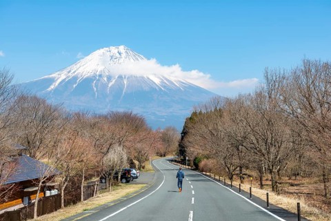 Young man on street, road leading to Mount Fuji volcano, wanderlust, Yamanashi Prefecture, Japan