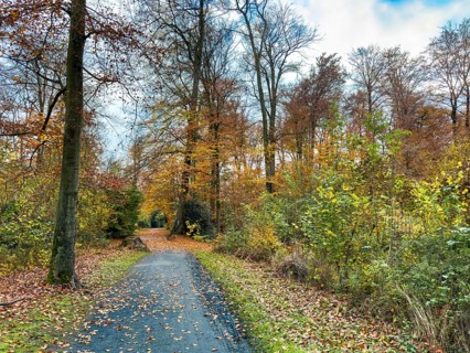Path footpath through sparse forest in palace gardens Park von Haus Wittringen Wittringer Wald