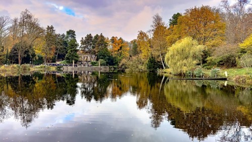 View in autumn across pond at Ehrenmal Pond in the Wittringer Wald recreation area, Gladbeck, North
