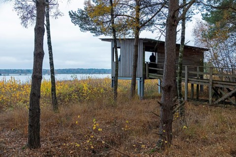 Observation tower, Tister Bauernmoor, Tiste, Samtgemeinde Sittensen, Lower Saxony, Germany