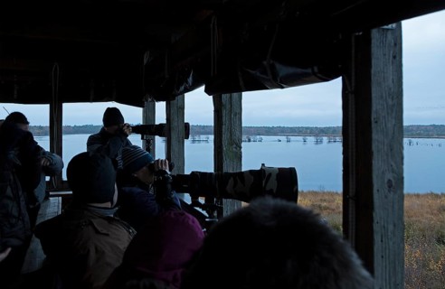 Bird watchers in the observation tower, Tister Bauernmoor, Tiste, Samtgemeinde Sittensen, Lower
