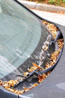 Windshield of a car in autumn, Germany