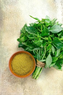 Ground green basil, in a ceramic bowl, with a bouquet of fresh green basil, on the table, top view,