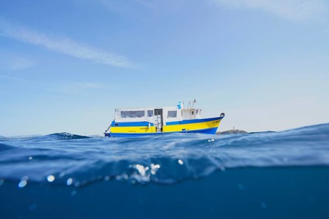 A yellow-blue boat, motor ship, dive boat floats on the calm sea under a clear sky on the
