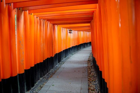 Walk through hundreds of red traditional torii gates, Fushimi Inari Taisha, Shinto Shrine, Fushimi