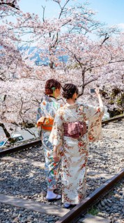 Keage Incline, two Japanese women wearing kimonos taking selfies on old tracks, cherry trees