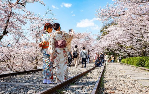 Keage Incline, two Japanese women wearing kimonos taking selfies on old tracks, cherry trees
