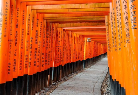 Walk through hundreds of red traditional torii gates, Fushimi Inari Taisha, Shinto Shrine, Fushimi