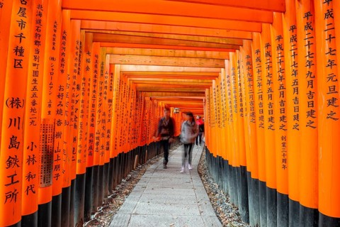 Visitors on a journey through hundreds of red traditional torii gates, Fushimi Inari-taisha, Shinto