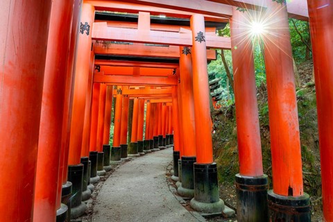 Walk through hundreds of red traditional torii gates, Fushimi Inari Taisha, Shinto Shrine, Sun
