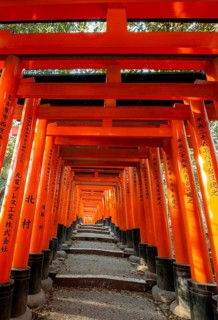 Walk through hundreds of red traditional torii gates, Fushimi Inari Taisha, Shinto Shrine, Fushimi
