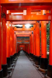 Walk through hundreds of red traditional torii gates, Fushimi Inari Taisha, Shinto Shrine, Sun