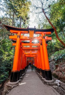 Visitors on a journey through hundreds of red traditional torii gates, Fushimi Inari taisha, Shinto