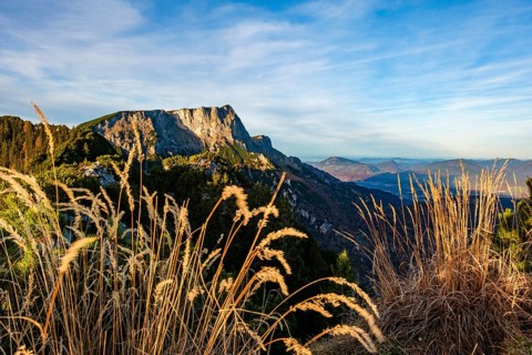 View from Rauhen Kopf to Untersberg, in front dry grass, Berchtesgaden Alps, Bischofswiesen,