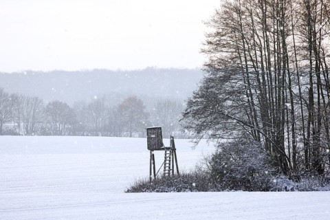 Raised hide, hunting blind, deerstand, deer stand in snow covered field at edge of forest during