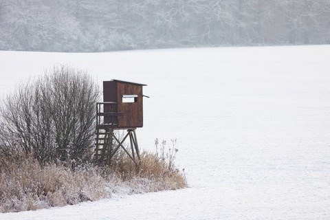 Raised hide, hunting blind, deerstand, deer stand in snow covered field at edge of forest in winter