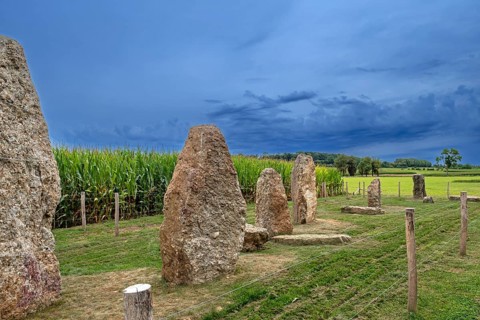 Menhirs, standing stones of conglomerate at Champ de la Longue Pierre in Wéris, Durbuy, province of
