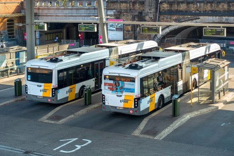 Two commuter buses at bus stop of public transport company De Lijn at train station
