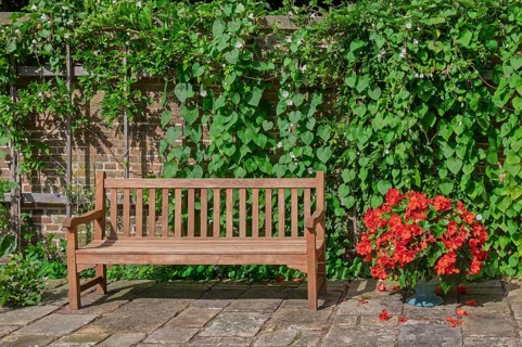 Wooden bench in front of a brick wall and lots of green plants, Münsterland, North
