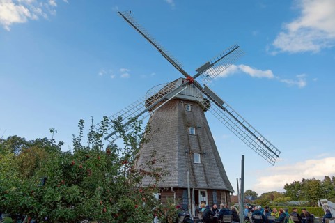 Café guests of a historic windmill, now café, Ahrenshoop, Darß, Mecklenburg-Western Pomerania,
