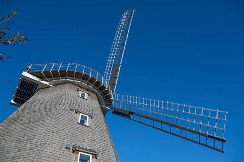 Historic windmill, now café, blue sky, Ahrenshoop, Darß, Mecklenburg-Western Pomerania, Germany