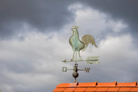 Weather vane in the shape of a rooster on a roof under an overcast sky, Baden-Württemberg, Germany