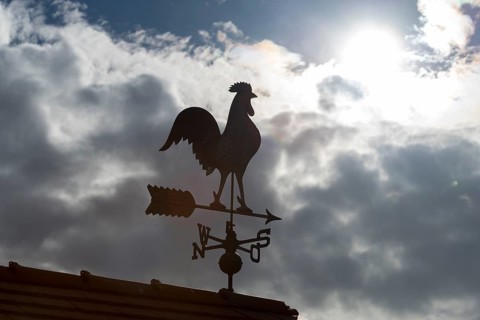 Sunlit weather vane in front of dramatic cloud formations, Baden-Württemberg, Germany
