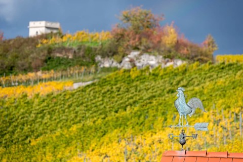 Weather vane on a roof in front of an autumnal vineyard and overcast sky, Baden-Württemberg,