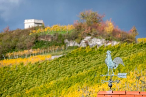 Weather vane in front of an autumnal vineyard and hills, colorful colors, Baden-Württemberg,