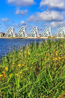 View over grasses and the shore of the fjord to the wave-shaped residential complex Bølgen, Die