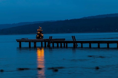 Illuminated Christmas tree at dawn, on a boat dock, Dießen am Lake Ammer, Upper Bavaria, Bavaria,