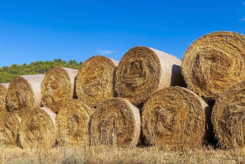 Round rolls straw bales piled in field against blue sky, near Uncastillo, Cinco Villas, Zaragoza