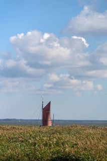 Zeesboot im Bodden, historic fishing boat, today for tourist ferries, reeds in front, Ahrenshoop,