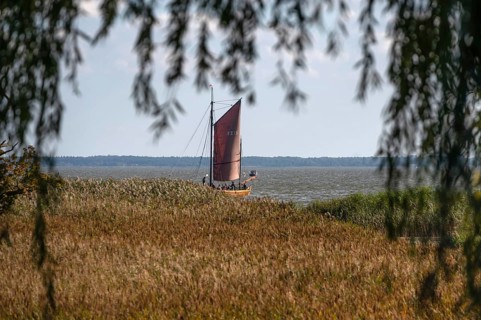 Zeesboot im Bodden, historic fishing boat, today for tourist ferries, Ahrenshoop, Darß,