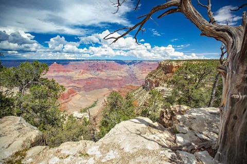 Beautiful landscape of the grand canyon, arizona
