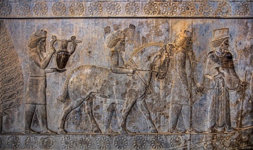 Relief detail of the delegation of peoples bringing gifts to Darius on the stairs of the Apadana
