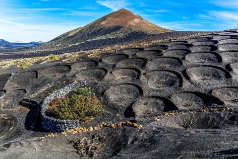 La Geria wine-growing region and work of art, UNESCO World Heritage, Lanzarote, Canary Islands,