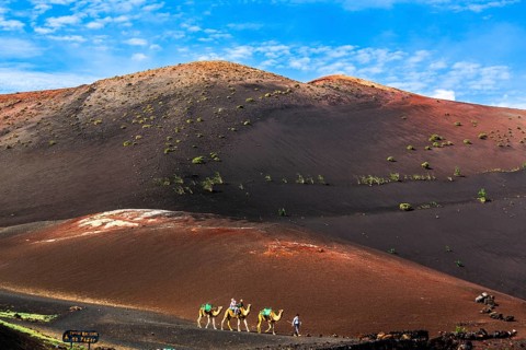 Ride on the Camellos, Timanfaya National Park Fire Mountains, Montanas del Fuego, Lanzarote, Canary